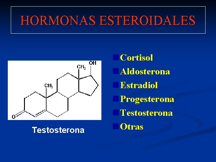 HORMONAS ESTEROIDALES Testosterona n Cortisol n Aldosterona n Estradiol n Progesterona n Testosterona n