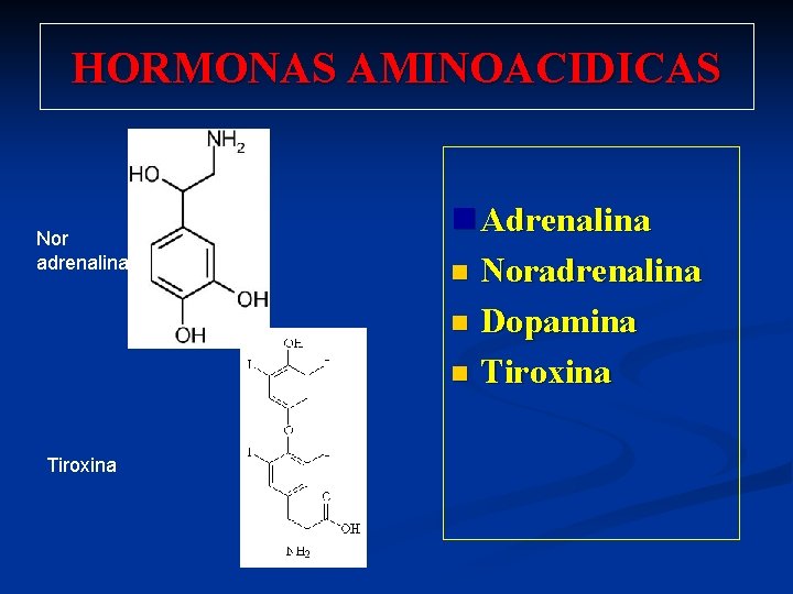 HORMONAS AMINOACIDICAS Nor adrenalina Tiroxina n Adrenalina n Noradrenalina n Dopamina n Tiroxina 