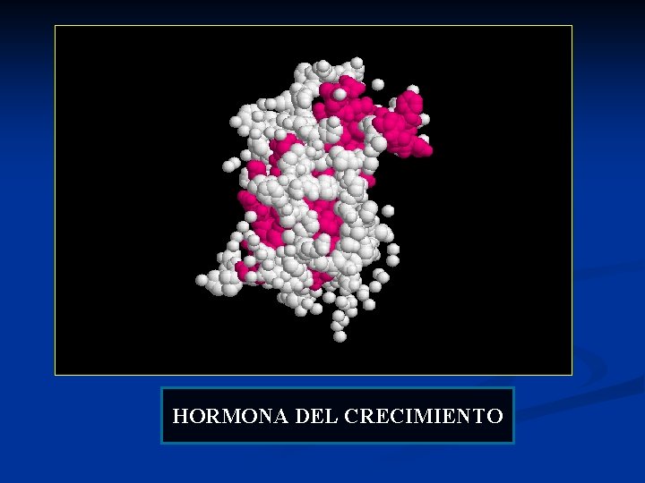 HORMONA DEL CRECIMIENTO 