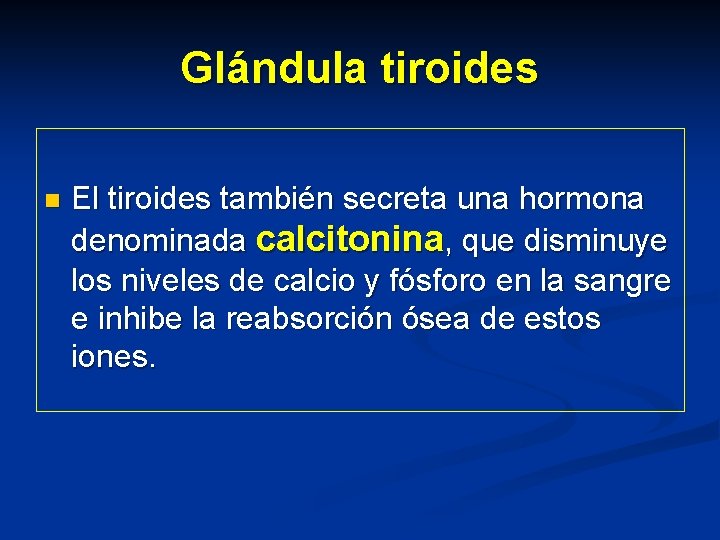 Glándula tiroides n El tiroides también secreta una hormona denominada calcitonina, que disminuye los