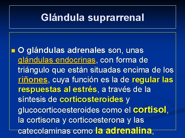 Glándula suprarrenal n O glándulas adrenales son, unas glándulas endocrinas, con forma de triángulo