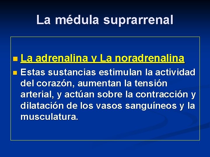 La médula suprarrenal n La n adrenalina y La noradrenalina Estas sustancias estimulan la