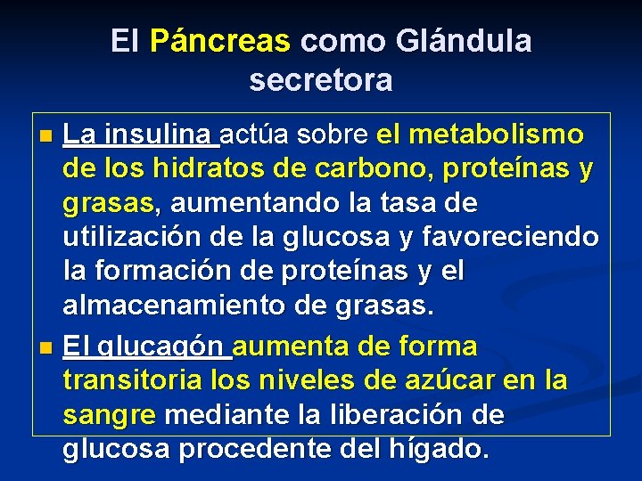 El Páncreas como Glándula secretora La insulina actúa sobre el metabolismo de los hidratos