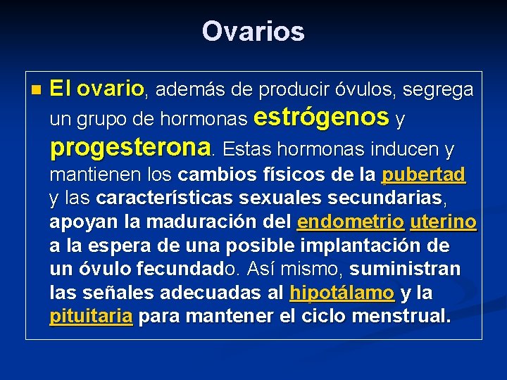 Ovarios n El ovario, además de producir óvulos, segrega un grupo de hormonas estrógenos