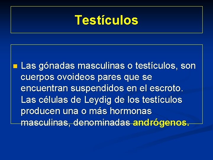 Testículos n Las gónadas masculinas o testículos, son cuerpos ovoideos pares que se encuentran