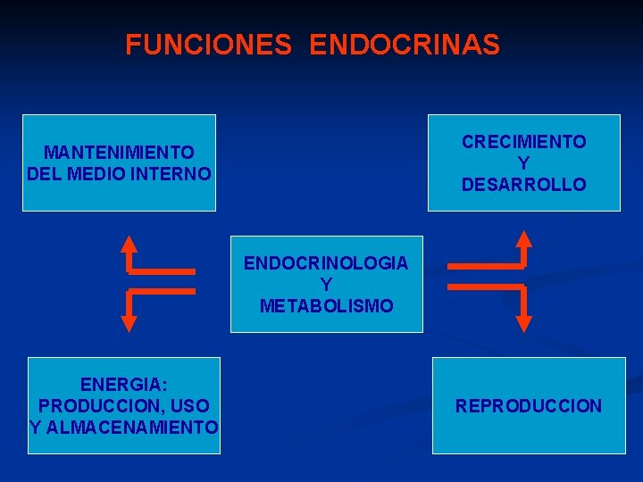 FUNCIONES ENDOCRINAS CRECIMIENTO Y DESARROLLO MANTENIMIENTO DEL MEDIO INTERNO ENDOCRINOLOGIA Y METABOLISMO ENERGIA: PRODUCCION,