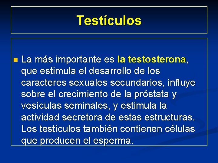 Testículos n La más importante es la testosterona, que estimula el desarrollo de los