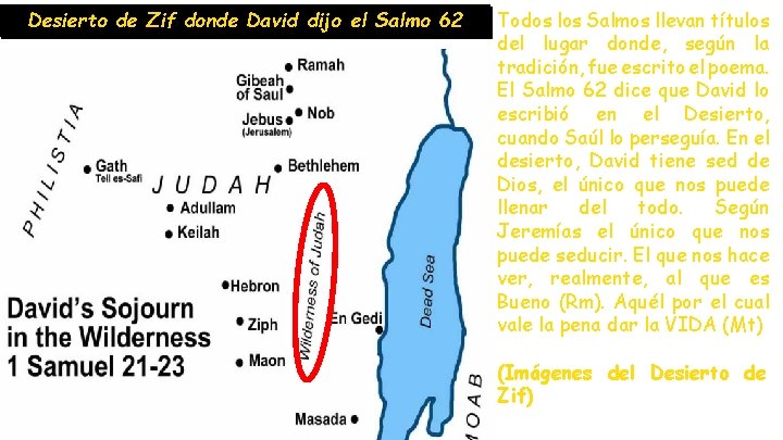 Desierto de Zif donde David dijo el Salmo 62 Todos los Salmos llevan títulos