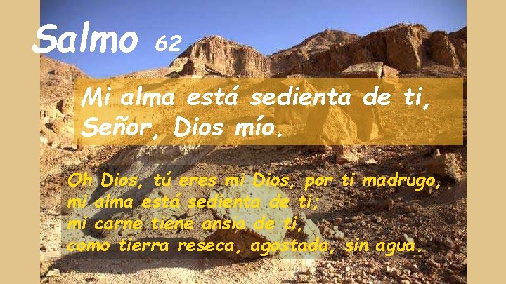 Salmo 62 Mi alma está sedienta de ti, Señor, Dios mío. Oh Dios, tú