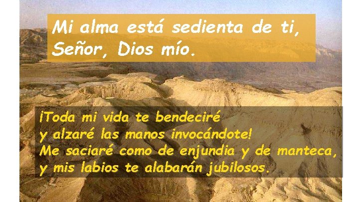 Mi alma está sedienta de ti, Señor, Dios mío. ¡Toda mi vida te bendeciré