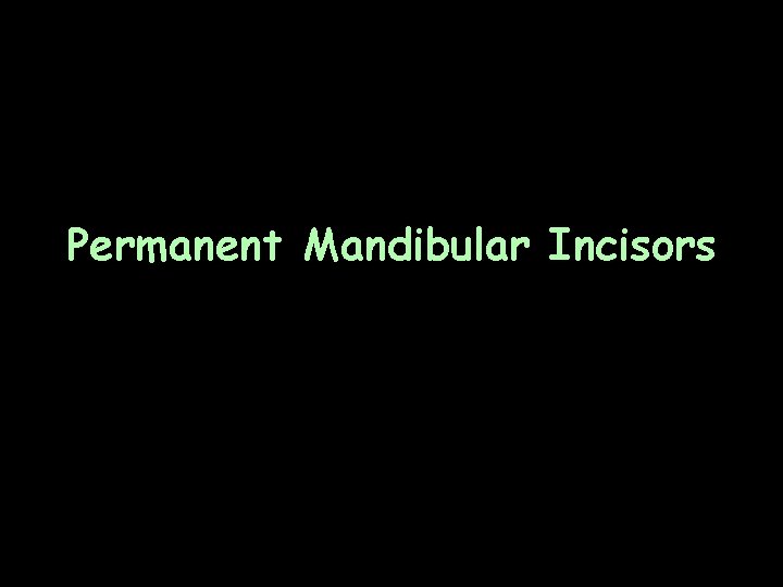 Permanent Mandibular Incisors 