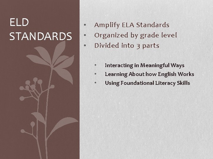 ELD STANDARDS • • • Amplify ELA Standards Organized by grade level Divided into