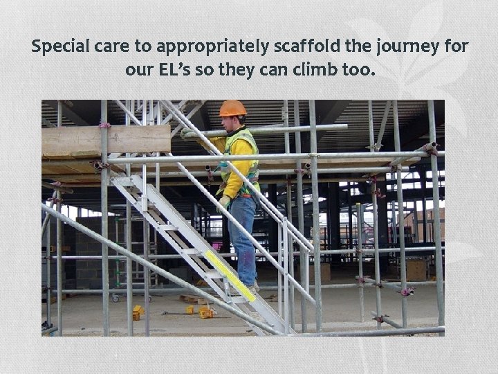 Special care to appropriately scaffold the journey for our EL’s so they can climb