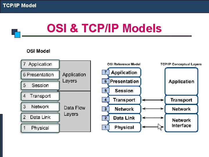 TCP/IP Model OSI & TCP/IP Models 