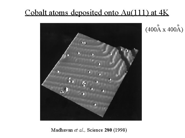 Cobalt atoms deposited onto Au(111) at 4 K (400 A x 400 A) Madhavan