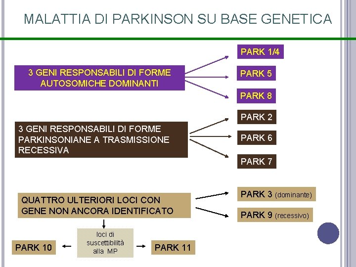MALATTIA DI PARKINSON SU BASE GENETICA PARK 1/4 3 GENI RESPONSABILI DI FORME AUTOSOMICHE MALATTIA DI PARKINSON SU BASE GENETICA PARK 1/4 3 GENI RESPONSABILI DI FORME AUTOSOMICHE