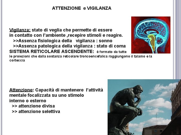 ATTENZIONE e VIGILANZA Vigilanza: stato di veglia che permette di essere in contatto con ATTENZIONE e VIGILANZA Vigilanza: stato di veglia che permette di essere in contatto con