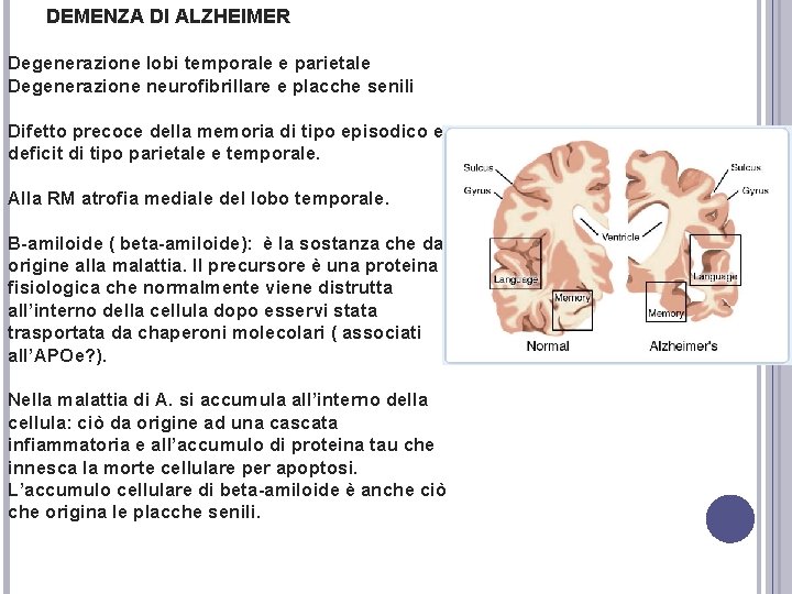DEMENZA DI ALZHEIMER Degenerazione lobi temporale e parietale Degenerazione neurofibrillare e placche senili Difetto DEMENZA DI ALZHEIMER Degenerazione lobi temporale e parietale Degenerazione neurofibrillare e placche senili Difetto