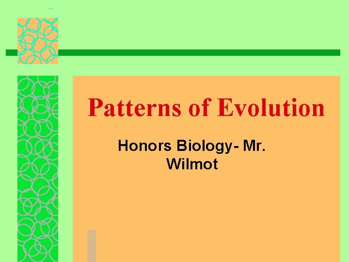 Patterns of Evolution Honors Biology- Mr. Wilmot 