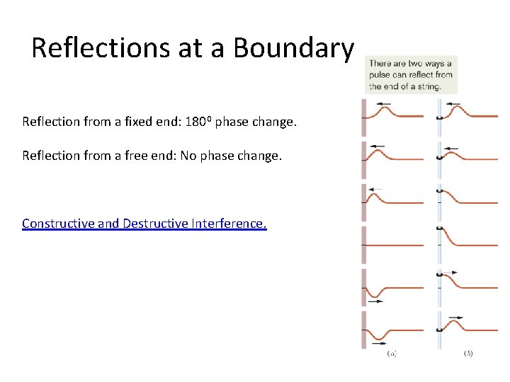 Reflections at a Boundary Reflection from a fixed end: 1800 phase change. Reflection from