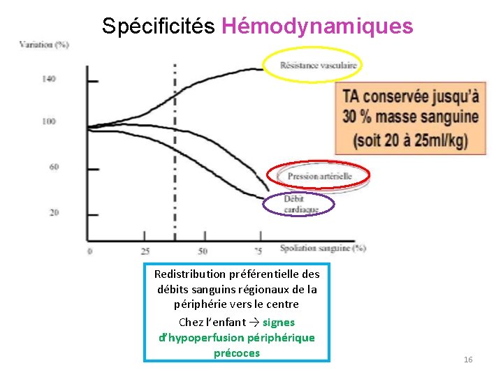 Spécificités Hémodynamiques Redistribution préférentielle des débits sanguins régionaux de la périphérie vers le centre