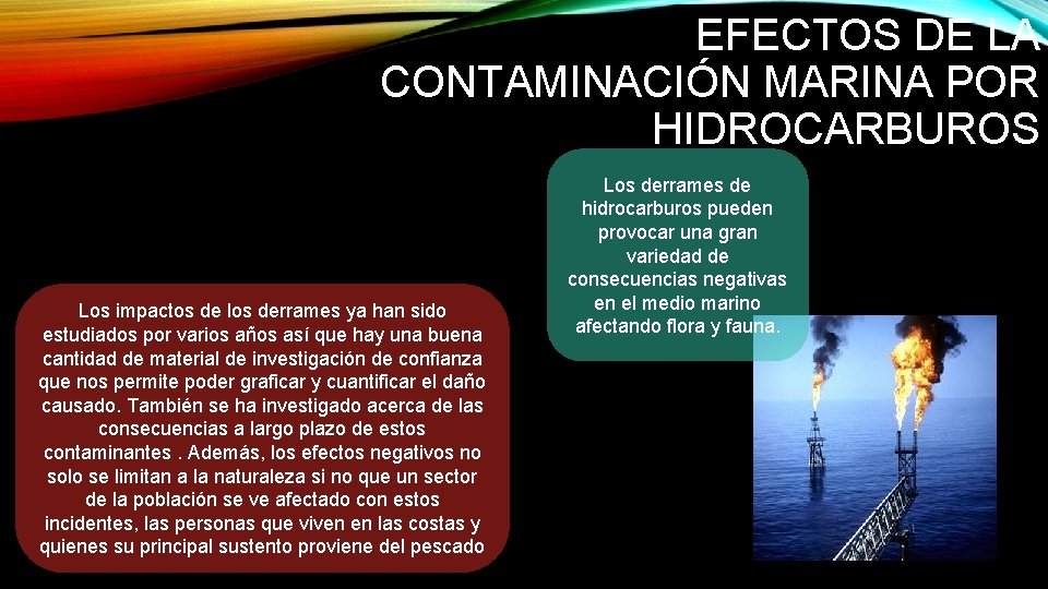 EFECTOS DE LA CONTAMINACIÓN MARINA POR HIDROCARBUROS Los impactos de los derrames ya han