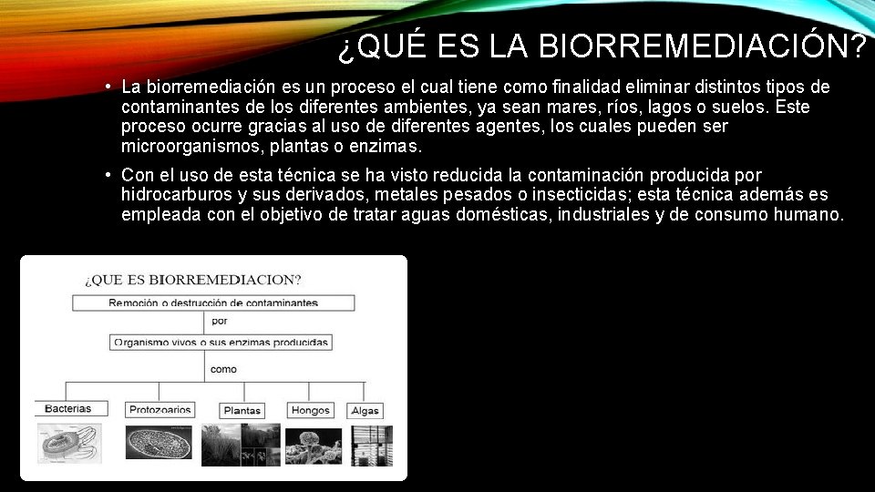 ¿QUÉ ES LA BIORREMEDIACIÓN? • La biorremediación es un proceso el cual tiene como