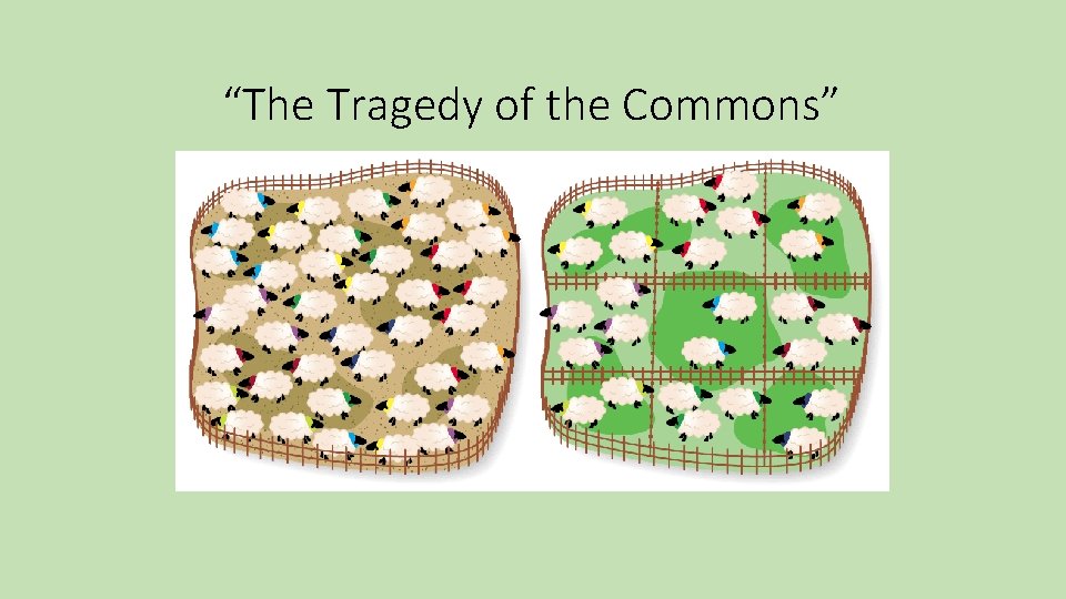 “The Tragedy of the Commons” 