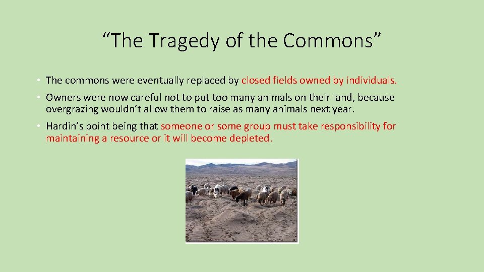 “The Tragedy of the Commons” • The commons were eventually replaced by closed fields