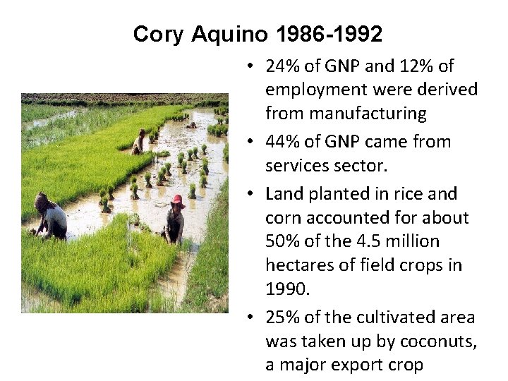 Cory Aquino 1986 -1992 • 24% of GNP and 12% of employment were derived