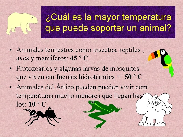 ¿Cuál es la mayor temperatura que puede soportar un animal? • Animales terrrestres como ¿Cuál es la mayor temperatura que puede soportar un animal? • Animales terrrestres como