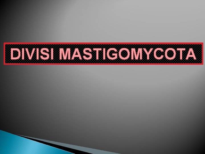 DIVISI MASTIGOMYCOTA 