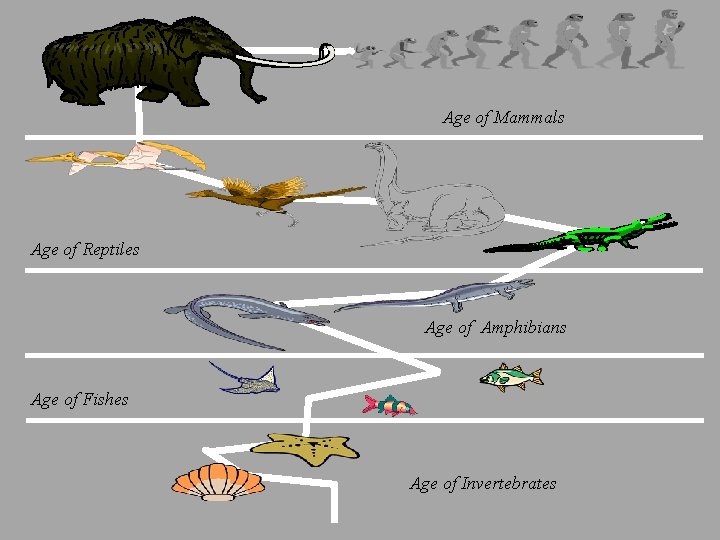 Age of Mammals Age of Reptiles Age of Amphibians Age of Fishes Age of