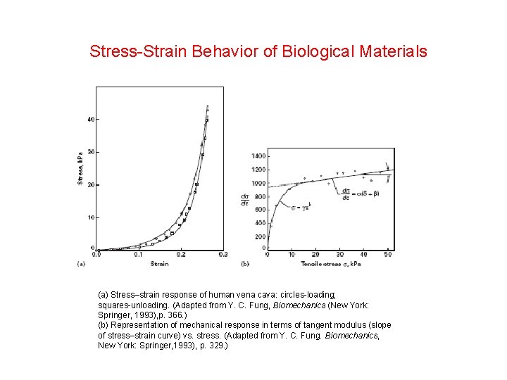 Stress-Strain Behavior of Biological Materials (a) Stress–strain response of human vena cava: circles-loading; squares-unloading.