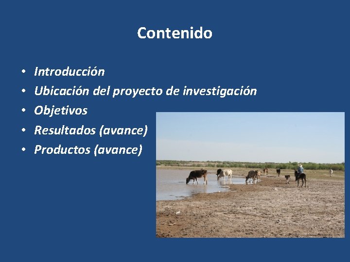 Contenido • • • Introducción Ubicación del proyecto de investigación Objetivos Resultados (avance) Productos Contenido • • • Introducción Ubicación del proyecto de investigación Objetivos Resultados (avance) Productos