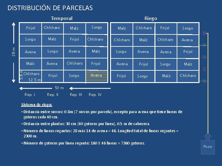 DISTRIBUCIÓN DE PARCELAS 5. 6 m 28 m Temporal Frijol Chícharo Maíz Sorgo Maíz DISTRIBUCIÓN DE PARCELAS 5. 6 m 28 m Temporal Frijol Chícharo Maíz Sorgo Maíz