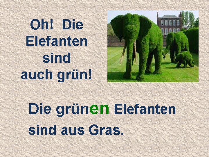 Oh! Die Elefanten sind auch grün! Die grünen Elefanten sind aus Gras. 