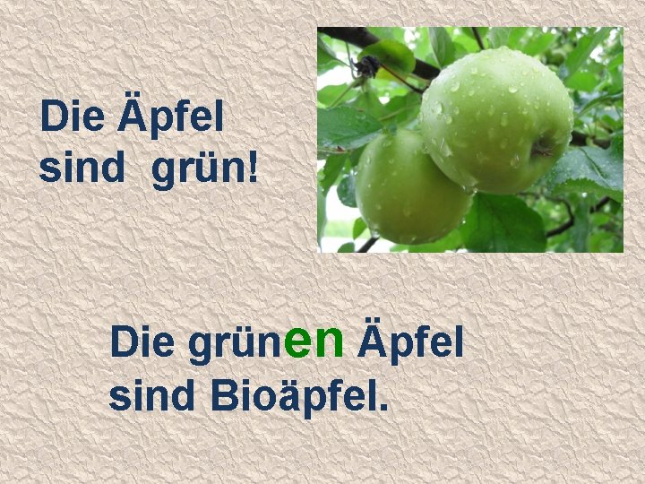 Die Äpfel sind grün! Die grünen Äpfel sind Bioäpfel. 