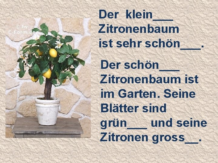 Der klein___ Zitronenbaum ist sehr schön___. Der schön___ Zitronenbaum ist im Garten. Seine Blätter