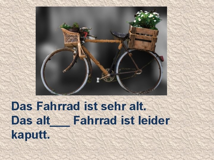 Das Fahrrad ist sehr alt. Das alt___ Fahrrad ist leider kaputt. 