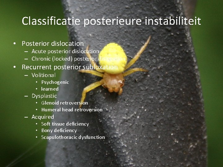 Classificatie posterieure instabiliteit • Posterior dislocation – Acute posterior dislocation – Chronic (locked) posterior