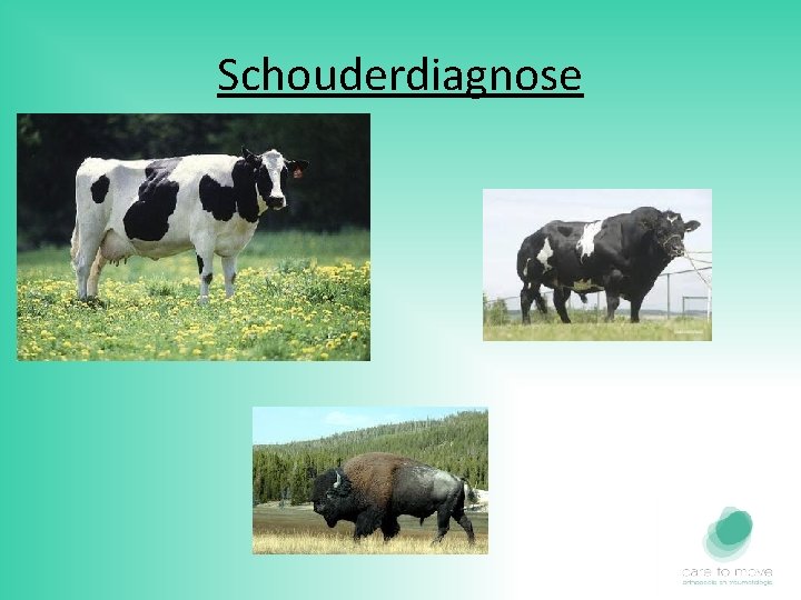 Schouderdiagnose 