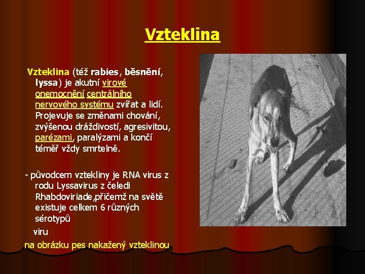 Vzteklina (též rabies, běsnění, lyssa) je akutní virové onemocnění centrálního nervového systému zvířat a