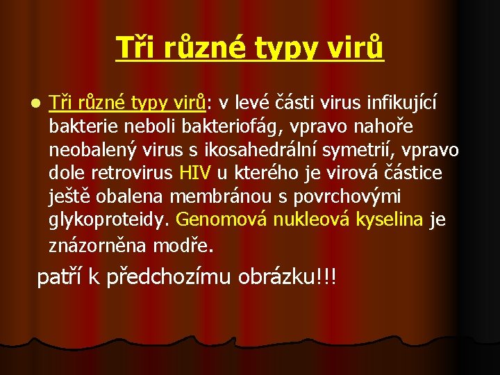 Tři různé typy virů l Tři různé typy virů: v levé části virus infikující