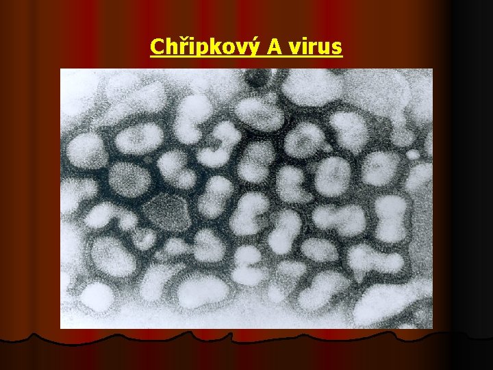 Chřipkový A virus 