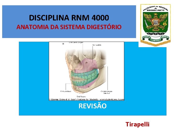 DISCIPLINA RNM 4000 ANATOMIA DA SISTEMA DIGESTÓRIO EXERCÍCIOS DE FIXAÇÃO REVISÃO Tirapelli DISCIPLINA RNM 4000 ANATOMIA DA SISTEMA DIGESTÓRIO EXERCÍCIOS DE FIXAÇÃO REVISÃO Tirapelli