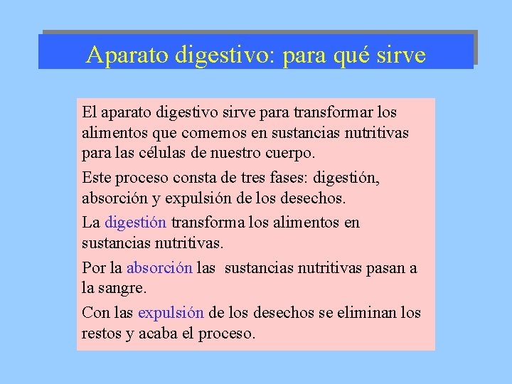 Aparato digestivo: para qué sirve El aparato digestivo sirve para transformar los alimentos que