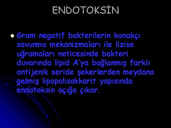 ENDOTOKSİN l Gram negatif bakterilerin konakçı savunma mekanizmaları ile lizise uğramaları neticesinde bakteri duvarında