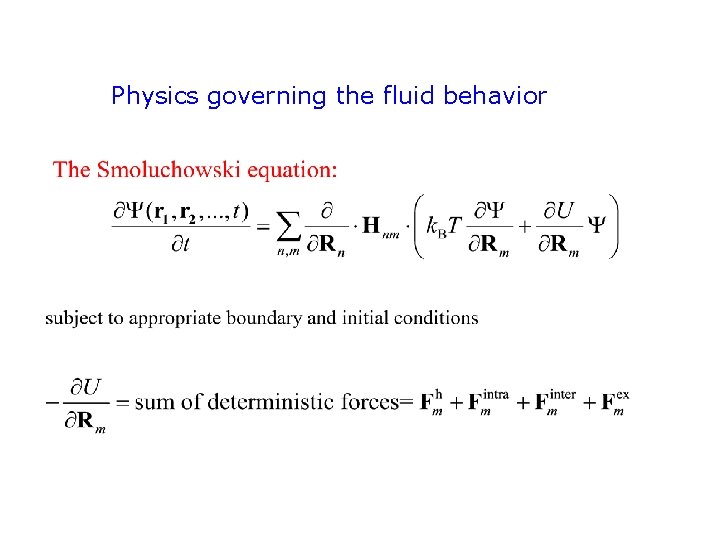 Physics governing the fluid behavior 