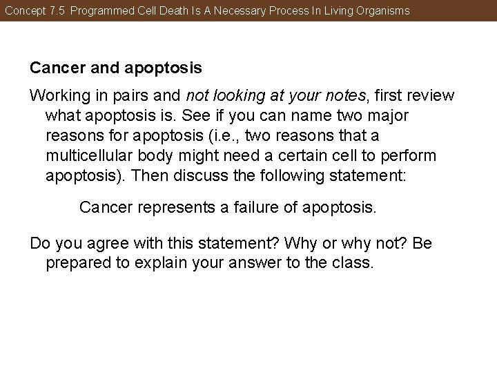 Concept 7. 5 Programmed Cell Death Is A Necessary Process In Living Organisms Cancer